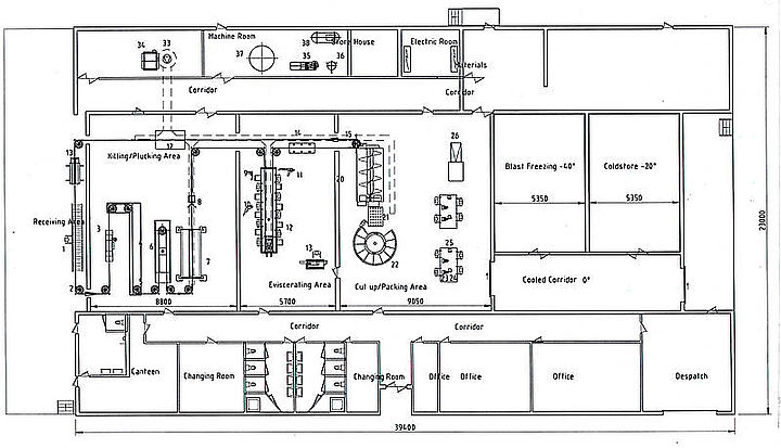 Poultry Processing Equipment 1000 3000 Birds Per Hour Poultry Processing Plant Custom Layout 9454