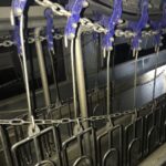 Systemate en 4000 bph plukken en plukken
