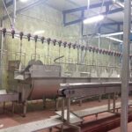 Alberk Turkey processing plant