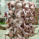 阿尔伯克火鸡加工厂