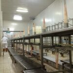 阿尔伯克火鸡加工厂