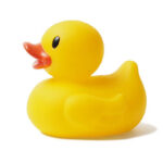 Duck for processing