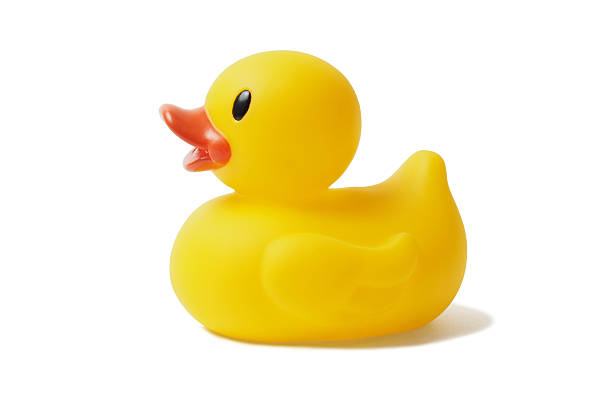 Pato para procesar