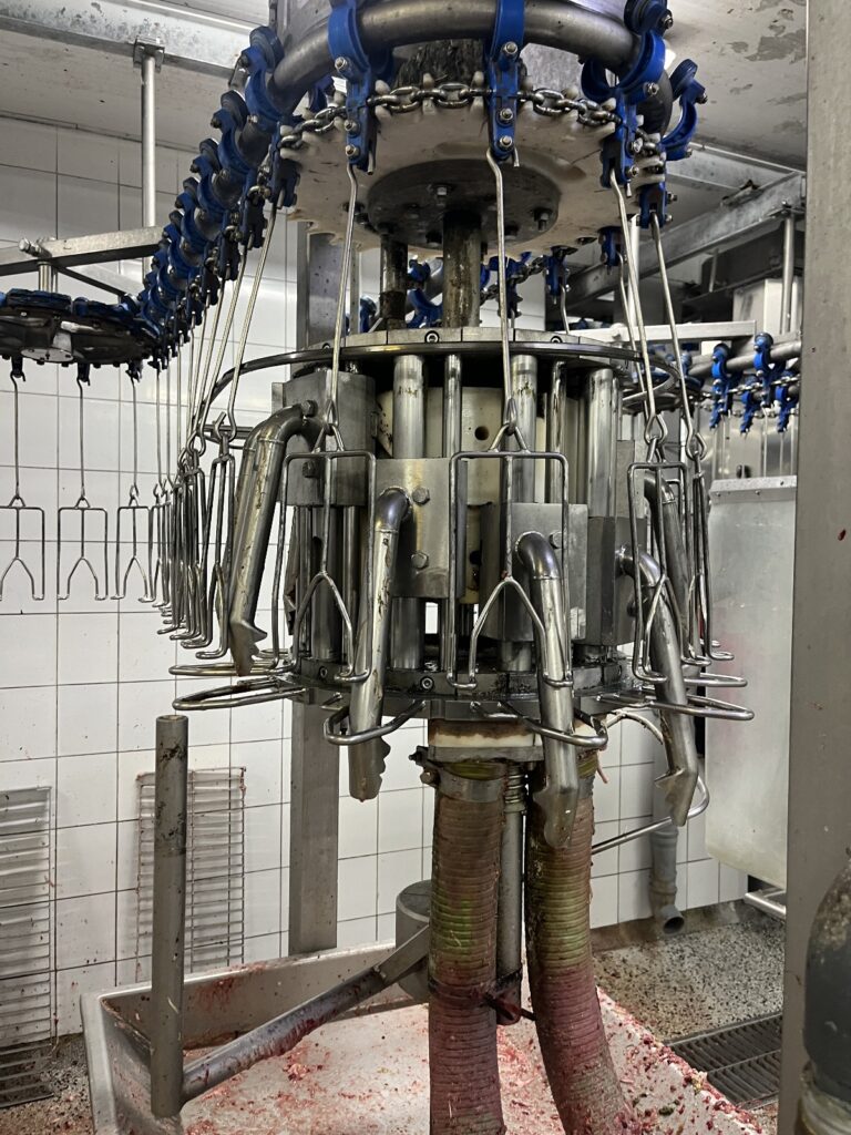 EMF -ontruimingslijn