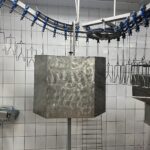 EMF ЭВСПОРТАЦИЯ