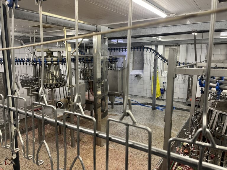 EMF EVESCERATION LINE