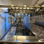 Linco Bleeding Trough
