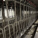 Linco Systemate complete plant