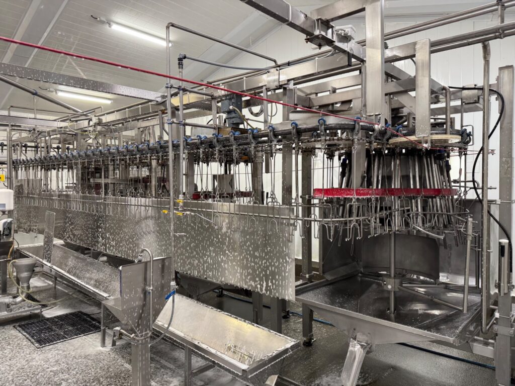 Volledige automatische Linco Killing and Disceration Line