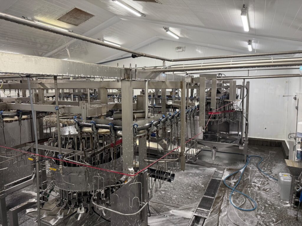 Volledige automatische Linco Killing and Disceration Line