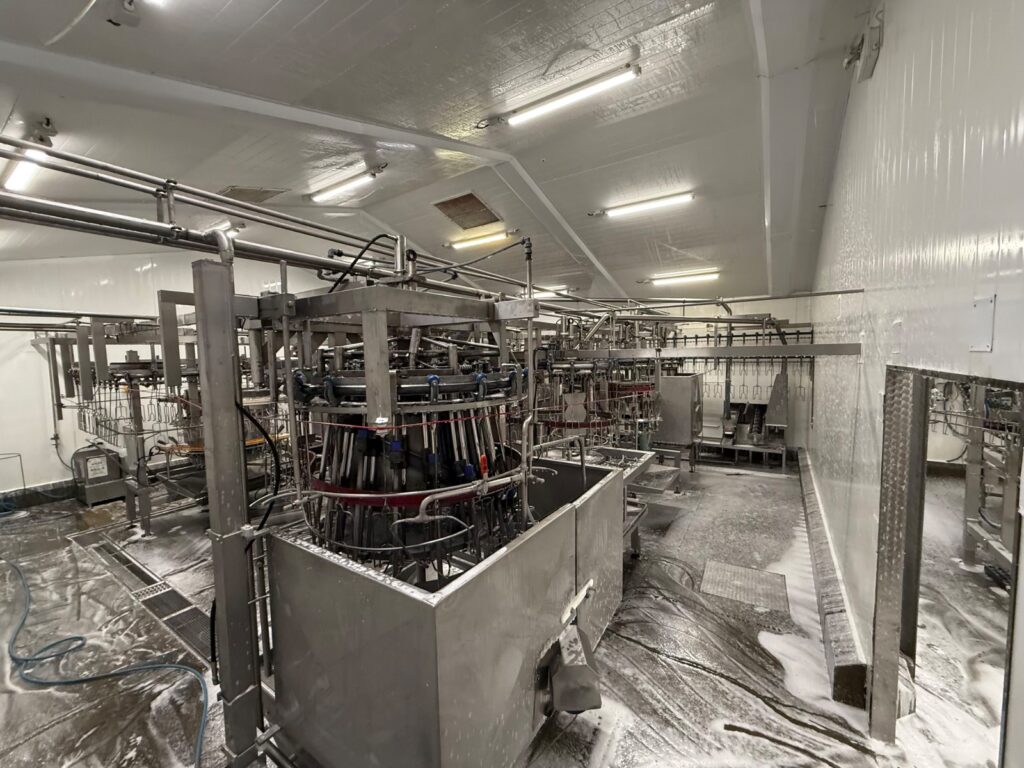 Complete automatic LINCO Killing and Evisceration line