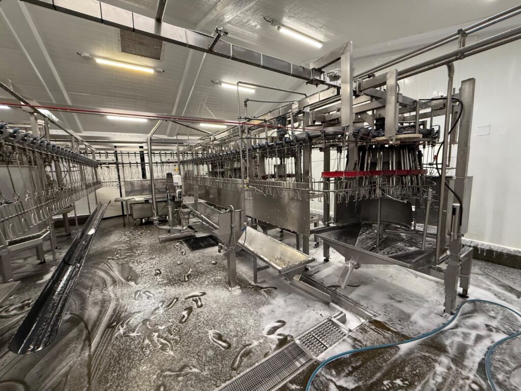 Volledige automatische Linco Killing and Disceration Line