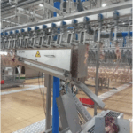 Stork Automatic Evisceration line 8000