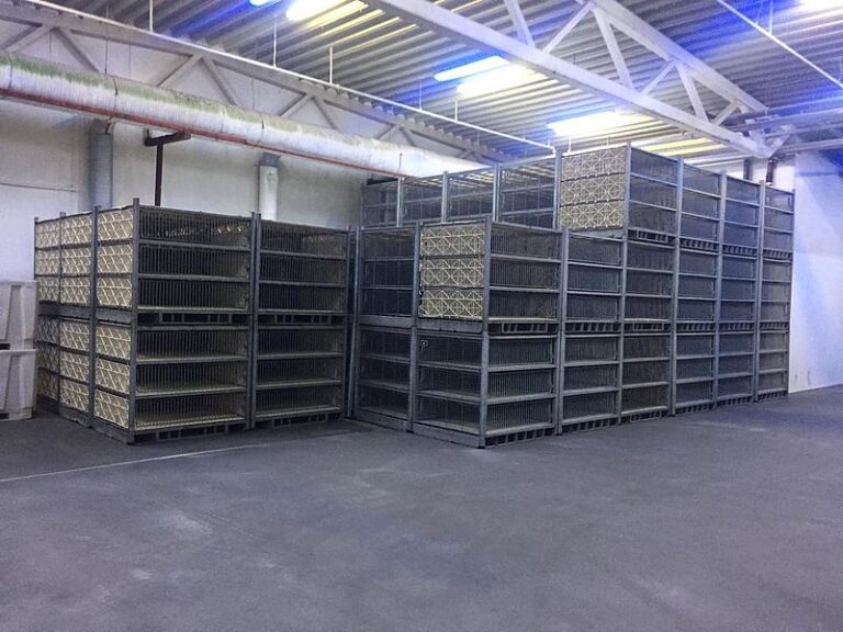 Stork live Turkije transportmodules