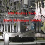 Stork REHanger/Hockcutter Kill/EV