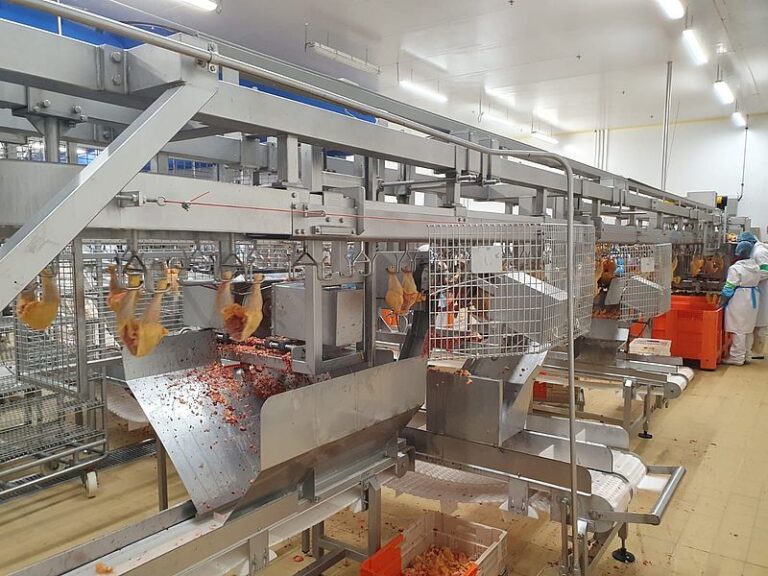 Systemate Poultry Cut-up Line