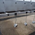 Linco 分类皮带用于家禽加工