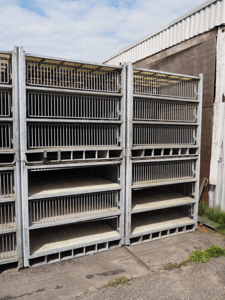 Live turkey transportion modules-7