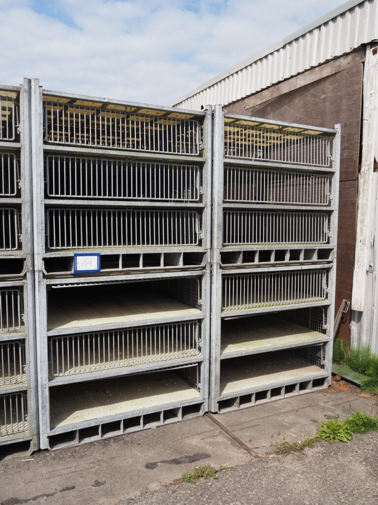 Live turkey transportion modules