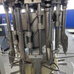 Systemate Final inspection machine for evisceration lines