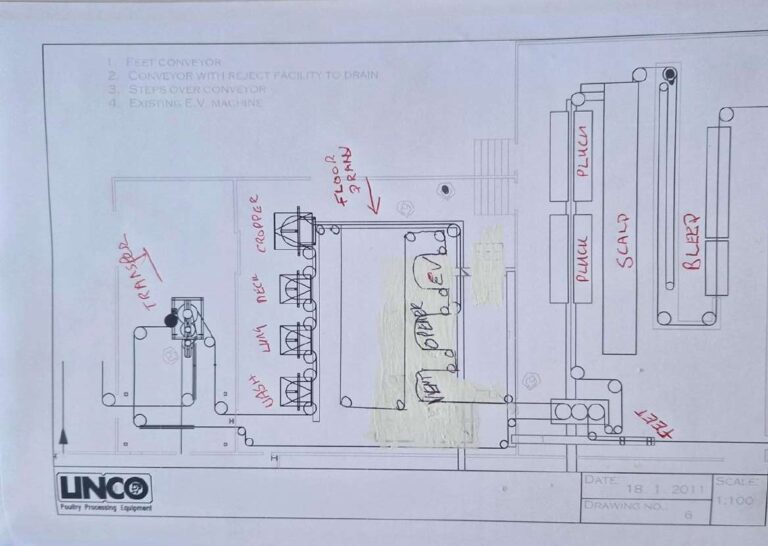 Automatic Linco evisceration line layout