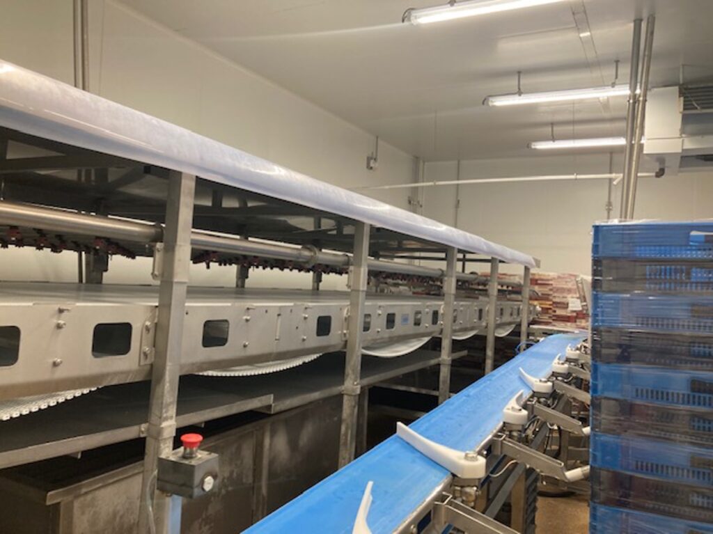 Bayle Cool conveyor