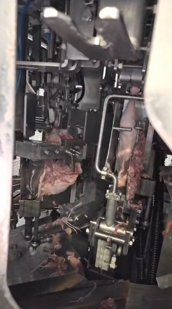 Whole leg deboner mayekawa